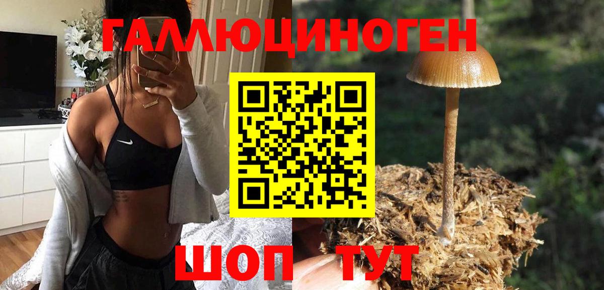 Арзамас  Псилоцибиновые грибы Magic Shrooms  где найти   Вход с VPN 