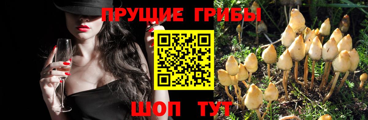 Галлюциногенные грибы ЛСД Арзамас